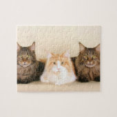 Maine Coon Cats Legpuzzel (Horizontaal)