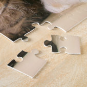 Maine Coon Cats Legpuzzel (Zijkant)