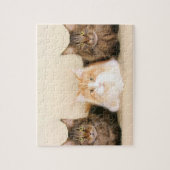 Maine Coon Cats Legpuzzel (Verticaal)