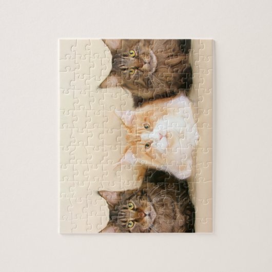 Maine Coon Cats Legpuzzel (Verticaal)