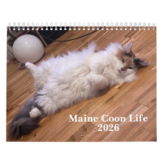 Maine Coon Cats | Main Coon Life Kalender (Hoes)