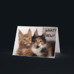 MAINE COON CATS SAY **30?** YOU? BIRTHDAY CARD KAART<br><div class="desc">THESE TWO MAINE COON CATS ARE SO CUTE SO THEY ARE ON A FEW OF MY CARDS HERE AT OverWhatHill with different verses and of race DIFFERENT AGES but YOU CAN CHANGE THE AGE IN SECONDS OR ANYTHING ON MY CARDS IF YOU WISH. THANKS FOR STOPPING BY ONE OF MY...</div>