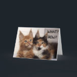 MAINE COON CATS SAY **30?** YOU? BIRTHDAY CARD KAART<br><div class="desc">THESE TWO MAINE COON CATS ARE SO CUTE SO THEY ARE ON A FEW OF MY CARDS HERE AT OverWhatHill with different verses and of race DIFFERENT AGES but YOU CAN CHANGE THE AGE IN SECONDS OR ANYTHING ON MY CARDS IF YOU WISH. THANKS FOR STOPPING BY ONE OF MY...</div>