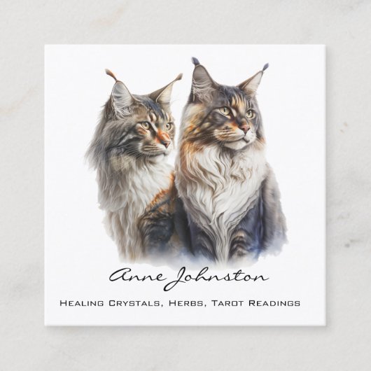 Maine Coon Cats Square Visitekaartje (Voorkant)