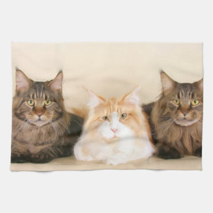 Maine Coon Cats Theedoek