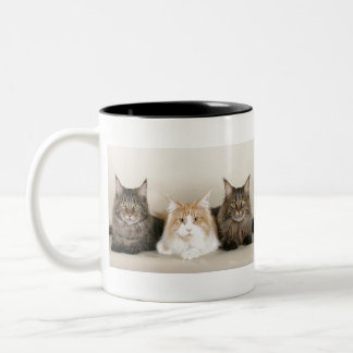Maine Coon Cats Tweekleurige Koffiemok