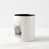 Maine Coon Cats Tweekleurige Koffiemok (Center)
