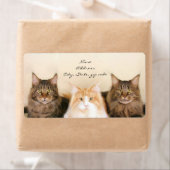 Maine Coon Cats Verzendlabels Etiket (Insitu)