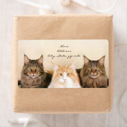 Maine Coon Cats Verzendlabels Etiket (Insitu)