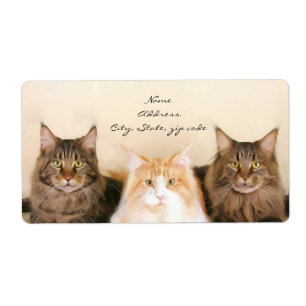 Maine Coon Cats Verzendlabels Etiket