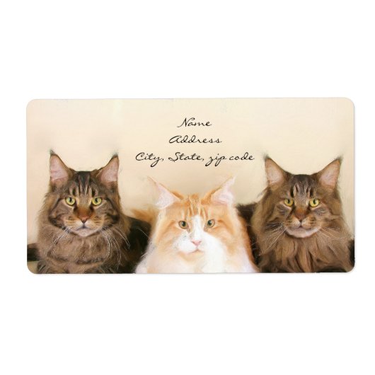 Maine Coon Cats Verzendlabels Etiket (Voorkant)