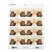 Maine Coon Cats Verzendlabels Etiket (Full Sheet)