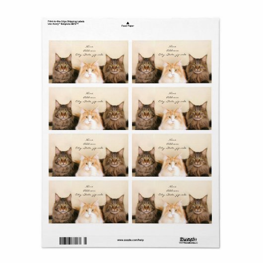 Maine Coon Cats Verzendlabels Etiket (Full Sheet)