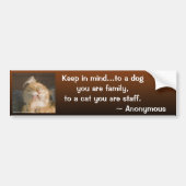 Maine Coon Close-up foto Personalized Bumpersticker (Voorkant)
