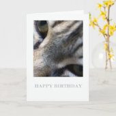 Maine Coon Close Up, Fotografie Verjaardag Kaart (Gele Bloem)