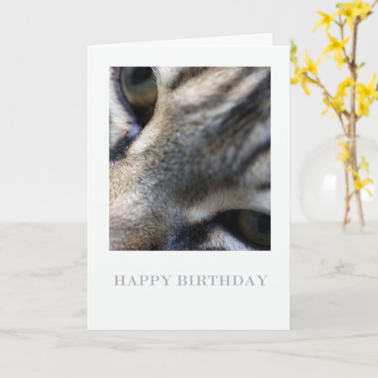 Maine Coon Close Up, Fotografie Verjaardag Kaart (Gele Bloem)