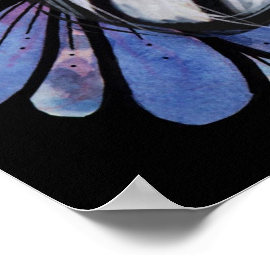 Maine Coon Dilute Calico Cat Paars Daisy Poster (Hoek)