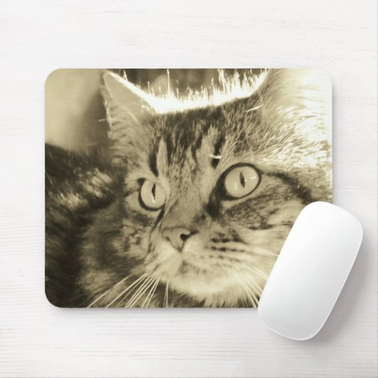 Maine Coon Face 2 Muismat (Met muis)