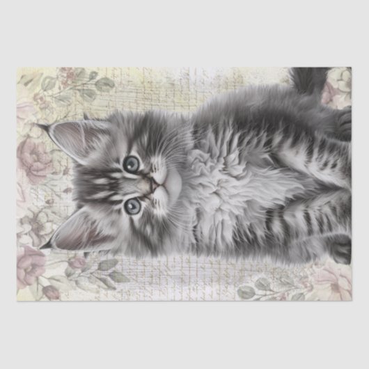 Maine Coon Floral Cat Kitten Tissuepapier (Voorkant)