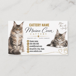 Maine Coon Fokkerij Kat Fokker Visitekaartje