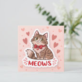 Maine Coon🐾 Fokkers bij mij in de buurt Kaarten � (Staand voorkant)