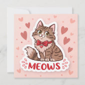 Maine Coon🐾 Fokkers bij mij in de buurt Kaarten � (Voorkant)