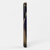 Maine Coon in Boom Case-Mate iPhone Case (Achterkant/rechts)