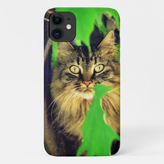Maine Coon in Boom Case-Mate iPhone Case (Achterkant)