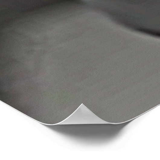 Maine Coon in een zwart pak en Stropdas Poster (Hoek)