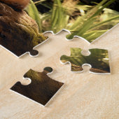 Maine Coon in Natuur. Legpuzzel (Zijkant)