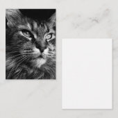 Maine coon kat 3,5 x 2,5 notitiekaartje (Voorkant / Achterkant)