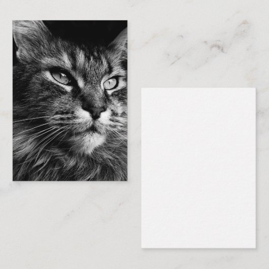 Maine coon kat 3,5 x 2,5 notitiekaartje (Voorkant / Achterkant)