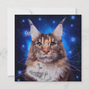 Maine Coon Kat Blauwe Achtergrond Sterren Kaart