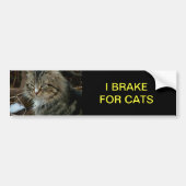 Maine Coon Kat Bumper Sticker (Voorkant)