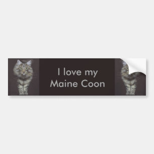 Maine Coon Kat Bumpersticker
