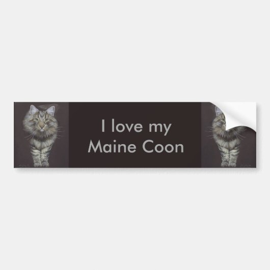 Maine Coon Kat Bumpersticker (Voorkant)