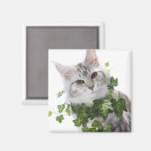 Maine Coon-kat en ornament van vis Magneet (Voorkant / Achterkant)