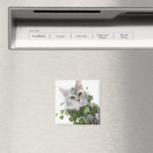 Maine Coon-kat en ornament van vis Magneet (Insitu (Vaatwasser))