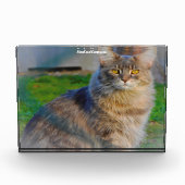 Maine Coon Kat Fotoblokken (Voorkant)