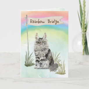 Maine Coon Kat Huisdier Troost Over Regenboogbrug Kaart
