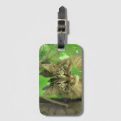 Maine Coon Kat in Boom Bagagelabel (Voorkant (verticaal))
