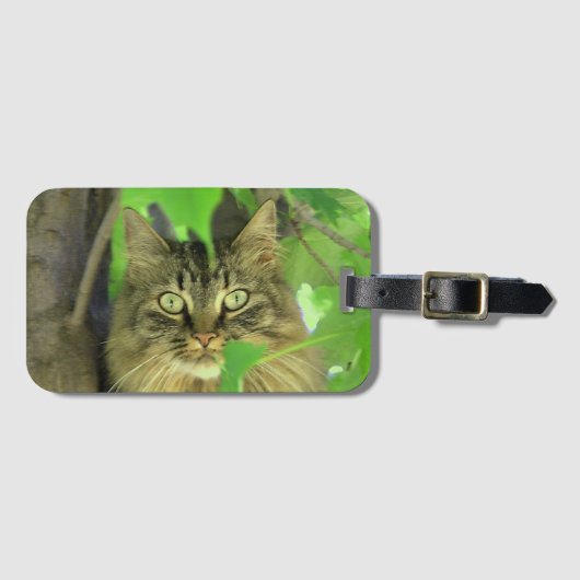 Maine Coon Kat in Boom Bagagelabel (Voorkant (horizontaal))