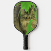 Maine Coon Kat in Boom Pickleball Paddle (Voorkant)