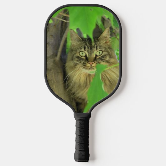 Maine Coon Kat in Boom Pickleball Paddle (Achterkant)