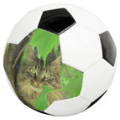 Maine Coon Kat in Boom Voetbal (Drie kwart)