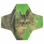 Maine Coon Kat in Boom Voetbal (Enkel)