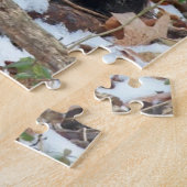 Maine Coon Kat in Bos Aaneen Legpuzzel (Zijkant)