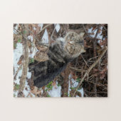 Maine Coon Kat in Bos Aaneen Legpuzzel (Horizontaal)