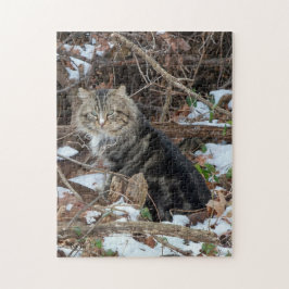 Maine Coon Kat in Bos Aaneen Legpuzzel