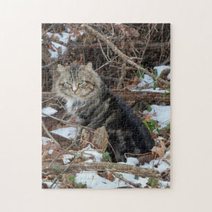 Maine Coon Kat in Bos Aaneen Legpuzzel